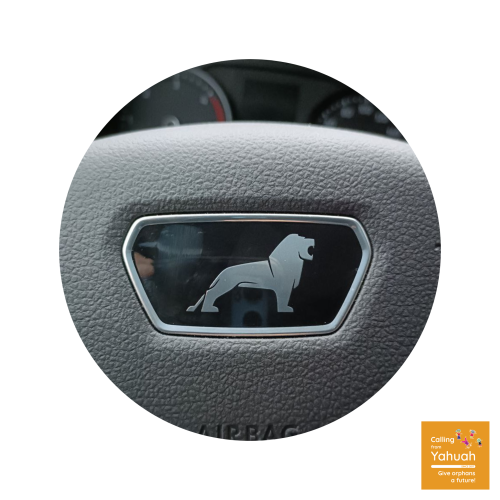 timeline-2023-1 Lion